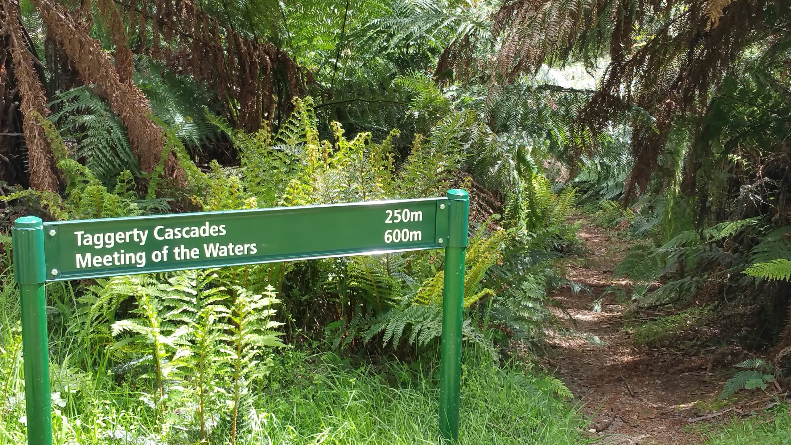  closed Beeches Rainforest Trail Navigator Victoria