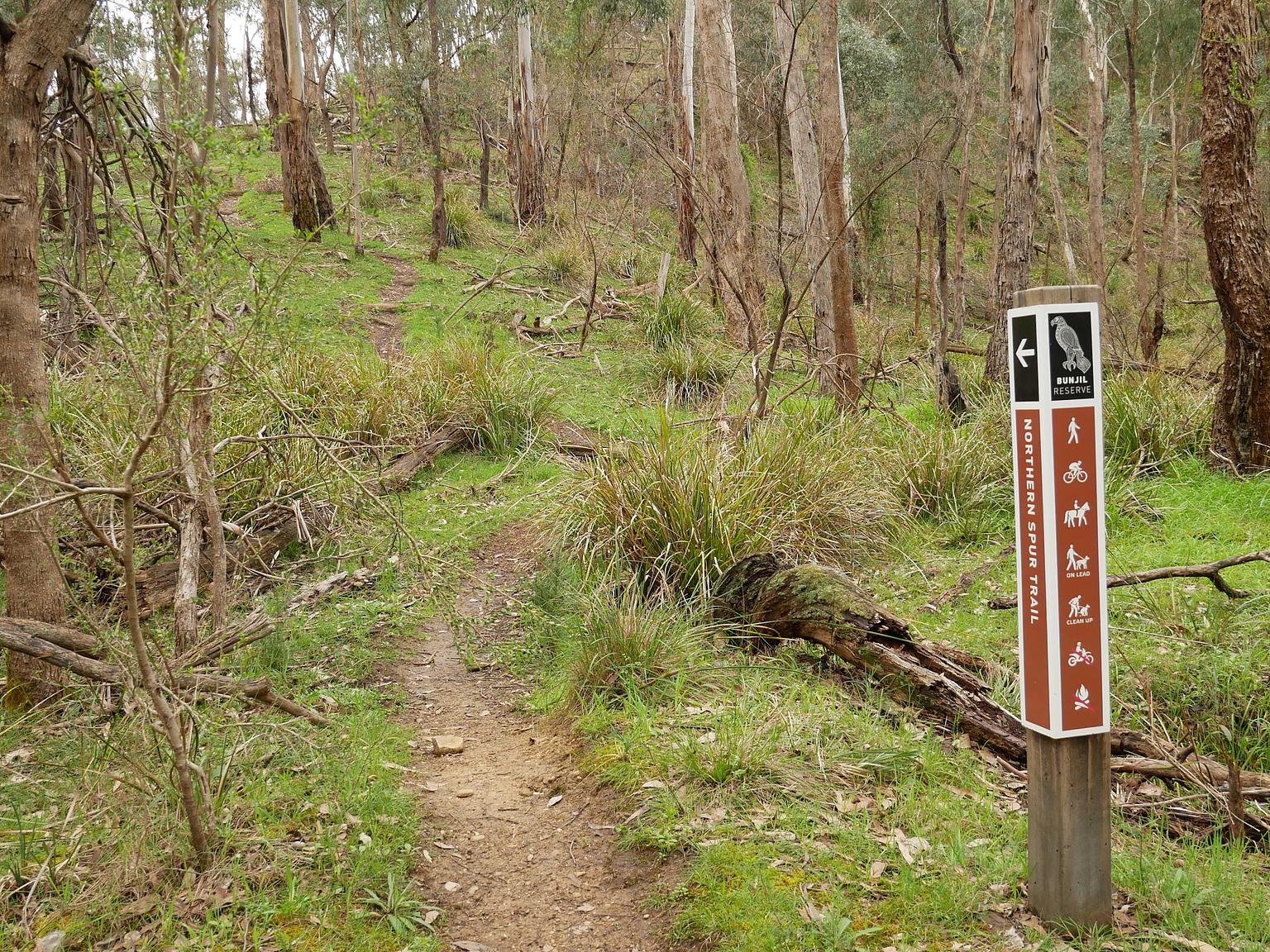 Panton Hill Bunjil Reserve