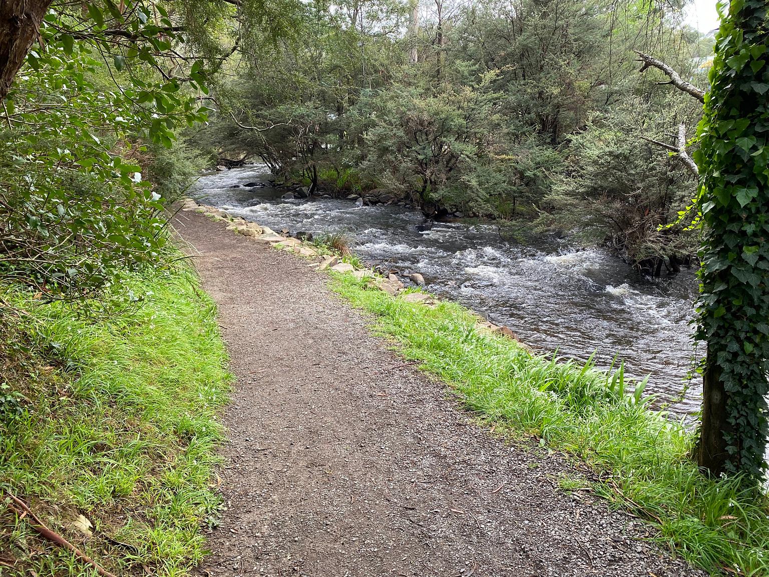 Yarra River Walk in Warburton